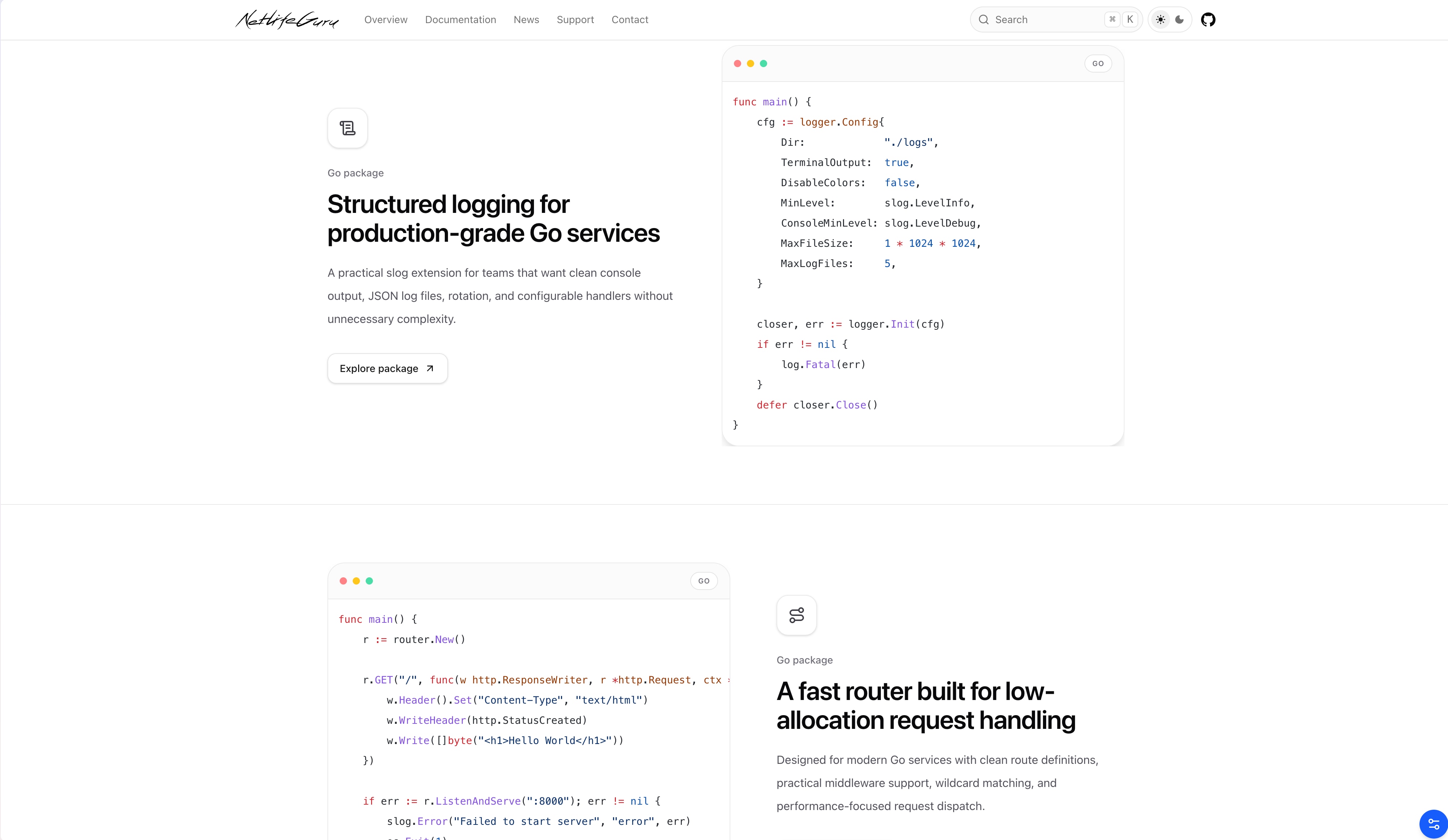 NetLife Guru — detail webu